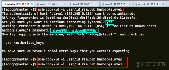 部署HDFS分布式文件系统_hadoop_14