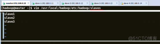 部署HDFS分布式文件系统_hadoop_22