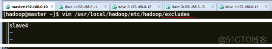 部署HDFS分布式文件系统_hadoop_53