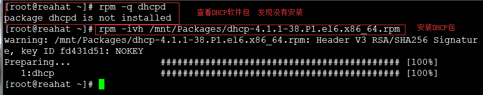 DHCP服务（自动分配IP和手动分配IP）_dhcp