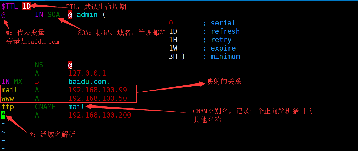 DNS域名解析服务（正向解析、反向解析）_DNS_03