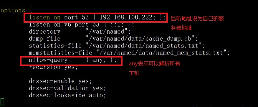 DNS的正向解析与反向解析_linux_03