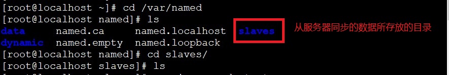 DNS服务之主从服务器_linux_05