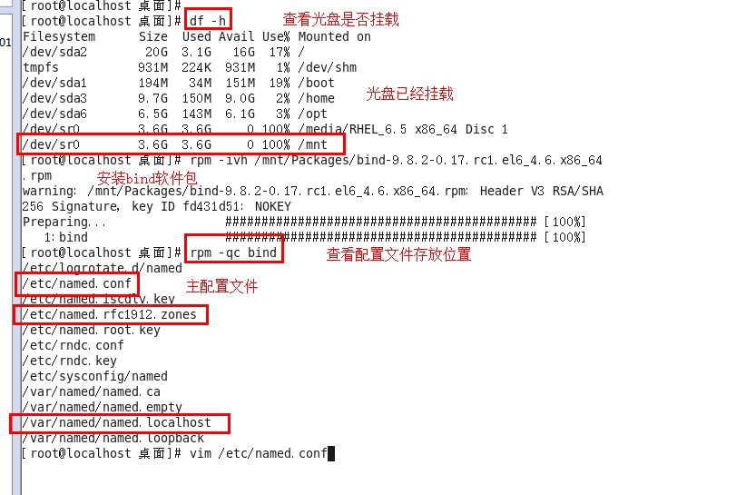 搭建DNS服务，正向解析域名_DNS