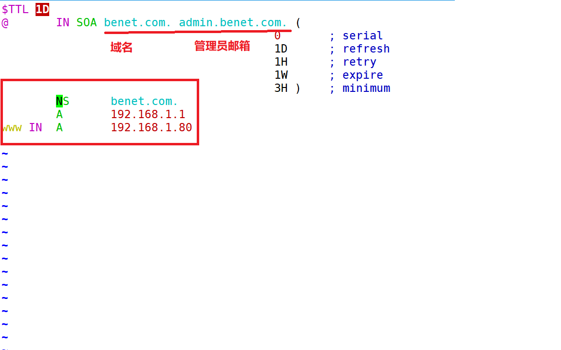 DNS服务之分离解析_DNS_16