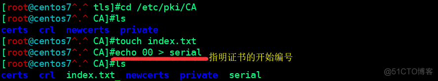 linux中使用openssl建立CA_openssl_04