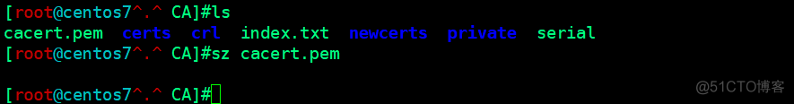 linux中使用openssl建立CA_openssl_10