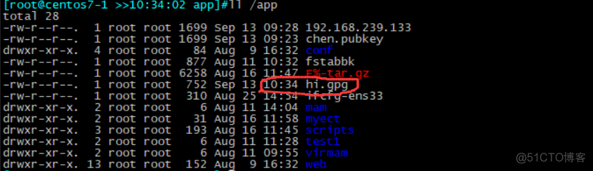 Linux环境下实现gpg工具对称加密和搭建CA_gpg_07
