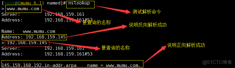 Linux服务---DNS的正向解析和反向解析_正向解析_13