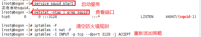 Squid正向代理与反向代理详解_正向代理_08