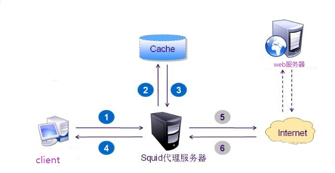 Squid正向代理与反向代理详解_squid