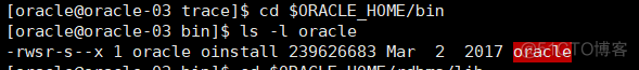 Oracle数据库shutdown报ORA-01031: insufficient privileg_sysdba _08
