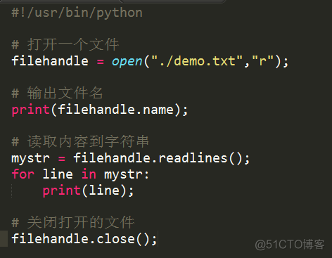 python文件读写操作_文件_12