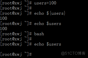 bash中的变量，变量类型_shell_03