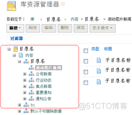 使用IBM WCM配置信息发布的操作步骤（上篇）_实施_04