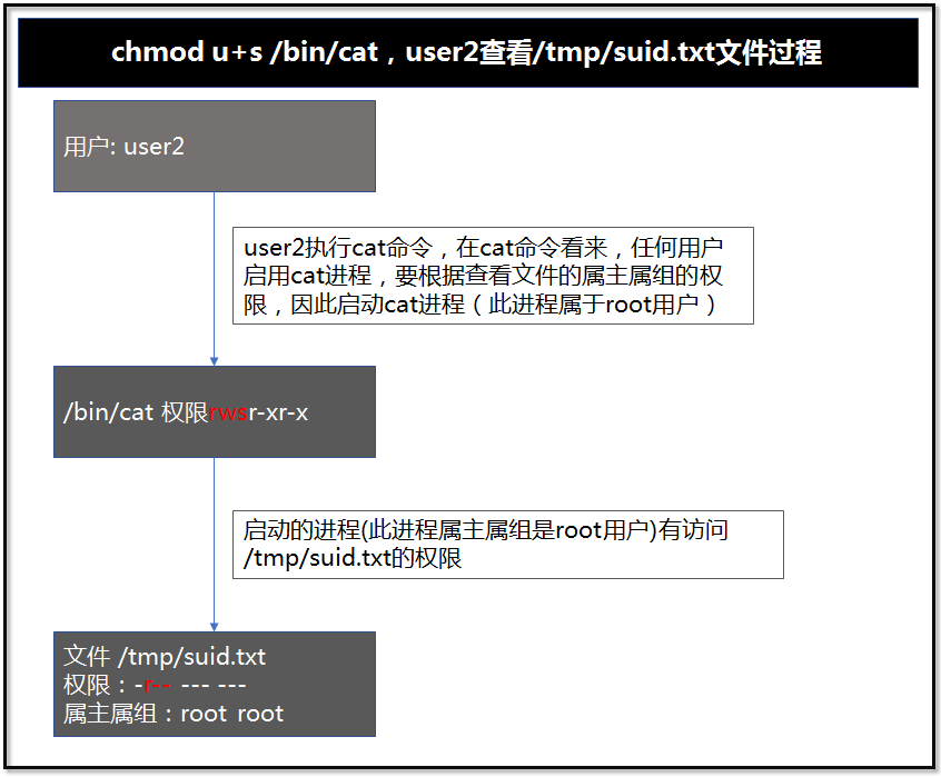 特殊权限SUID用法_特殊权限_04