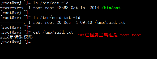 特殊权限SUID用法_特殊权限_02
