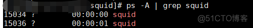 Squid 启动/停止/重载/服务异常排查实用命令_停止