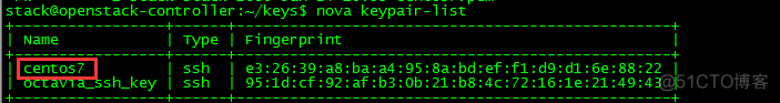 OpenStack实践(九):Open vSwitch方式实现floating IP_vxlan_17