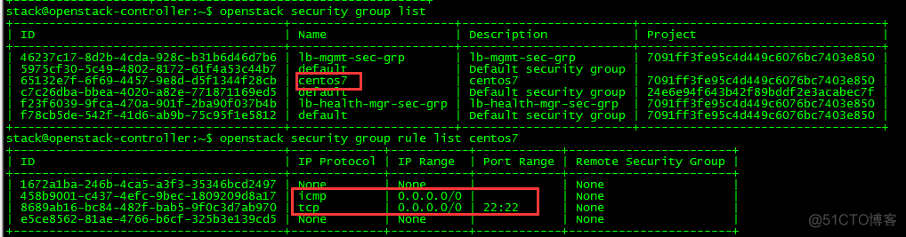 OpenStack实践(九):Open vSwitch方式实现floating IP_vxlan_19