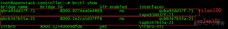 OpenStack实践(九):Open vSwitch方式实现floating IP_vxlan_35