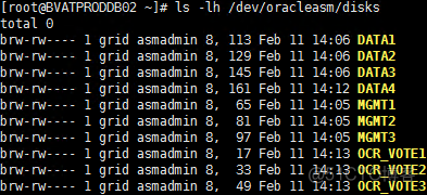 Oracle 12c RAC ASM磁盘扩容_12c _11