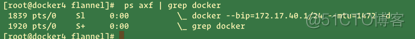 docker集群四(etcd+flannel)下_centos6.8_03