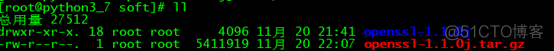 python3.7——openssl升级_openssl1.1_02