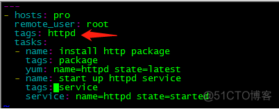 ansible的tags的用法_ansible_06