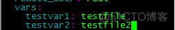ansible变量一（var和var_files）_ansible_02