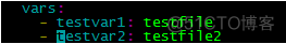ansible变量一（var和var_files）_ansible_03