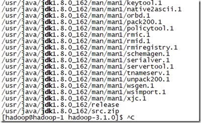 HDFS 实验 (三) hadoop节点配置_Hadoop_06