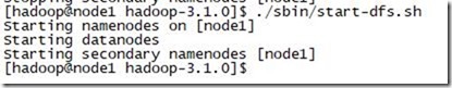 HDFS 实验 (三) hadoop节点配置_大数据_13