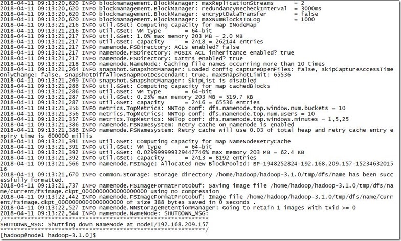 HDFS 实验 (三) hadoop节点配置_大数据_11