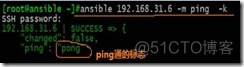 马哥学习----李洋个人笔记----ansible学习心得_Linux_06