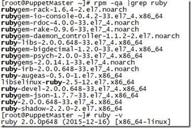 Puppet 实验十 centos 安装 puppet-dashboard 仪表盘_Linux_15