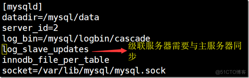 Linux----MySQL实现主从级联复制_Linux_04