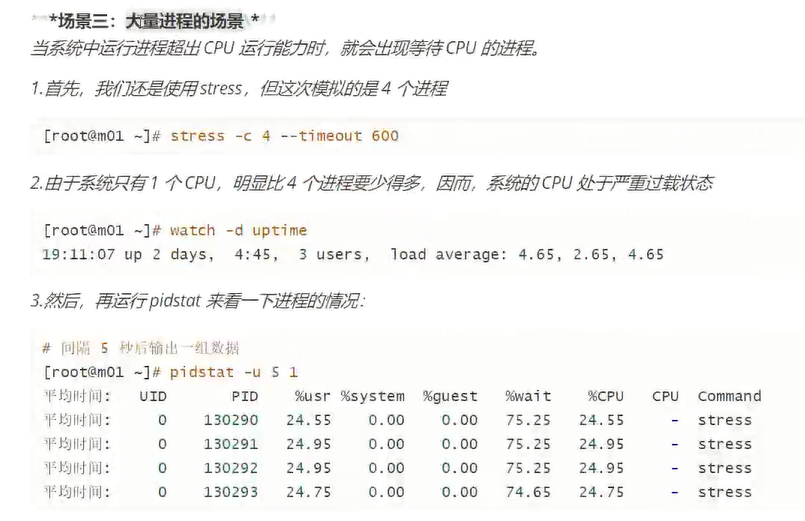 cpu和核心关系负载