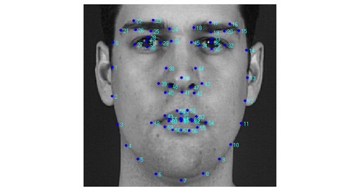 深度|人脸图像的技术原理及在电商业务中的应用_人脸图像_05