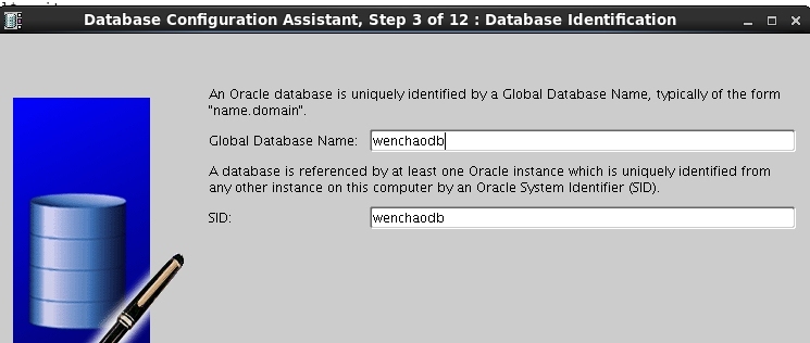 linux oracle 11g R2 安装过程_oracle_19