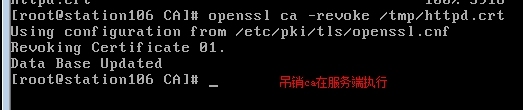 加密解密之openssl颁发CA证书_加密解密之openssl颁发CA证书_12