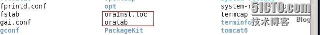 Linux下安装oracle关于UnsatisfiedLinkError exception loading native library：njni10报错解决_loading_06