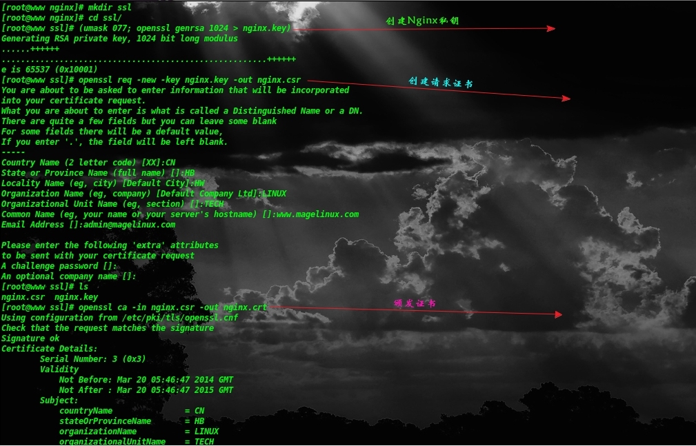 初识linux之编译安装Nginx以及基本配置_false_16