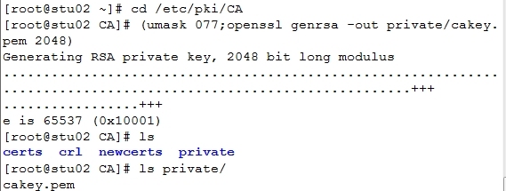 Linux系统之加密、解密、openssl的基本应用及CA的实现过程_技术_07