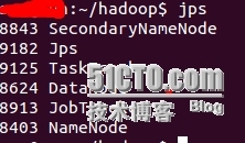 Hadoop安装（一）——伪分布_Hadoop 伪分布 安装教程_10