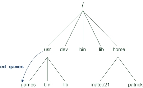 Linux入门 Part2: 目录操作(4) - cd 切换路径_ tab