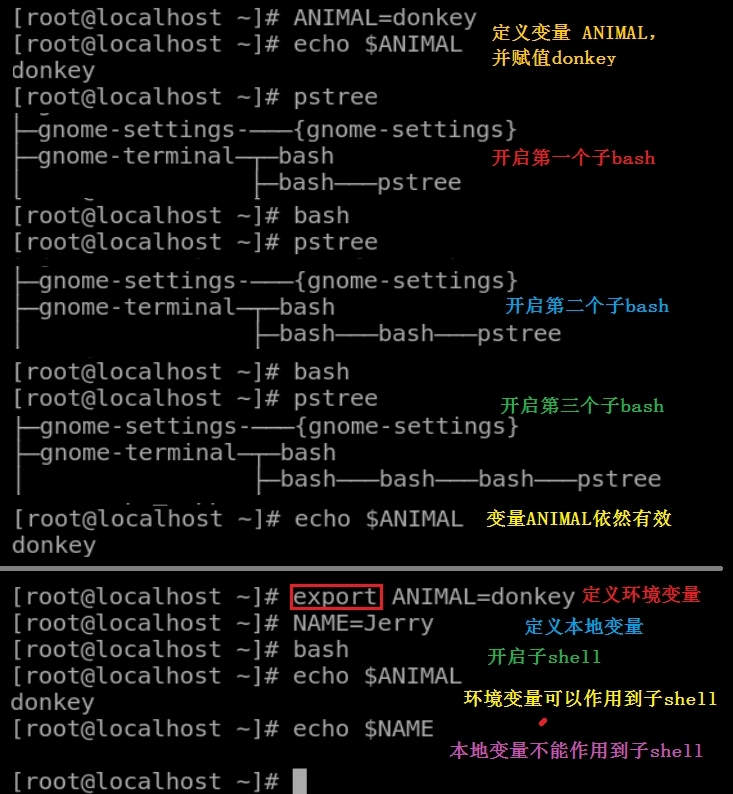 2_Shell语言———bash的快捷键、变量声明、引用变量及变量替换_Linux bash 变量 引号_06