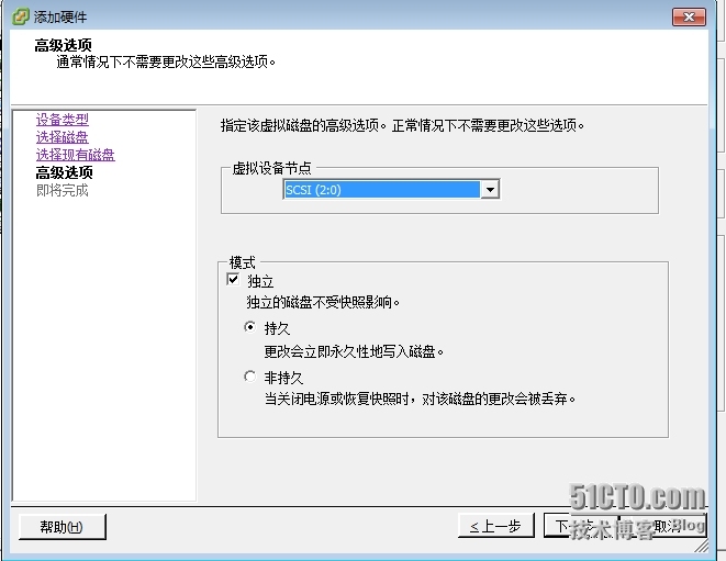 VMWARE  ESXI 5.1 创建虚拟共享磁盘_虚拟共享盘_12