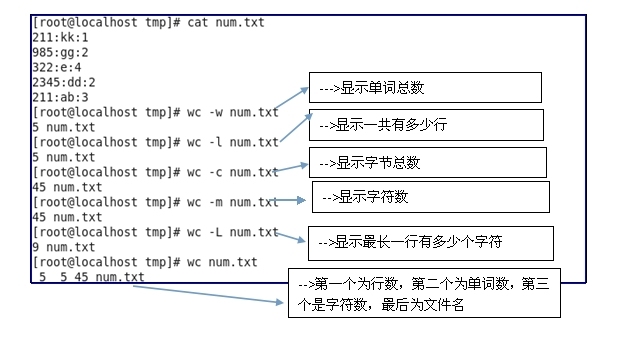 文本查看和文本处理命令_命令_06