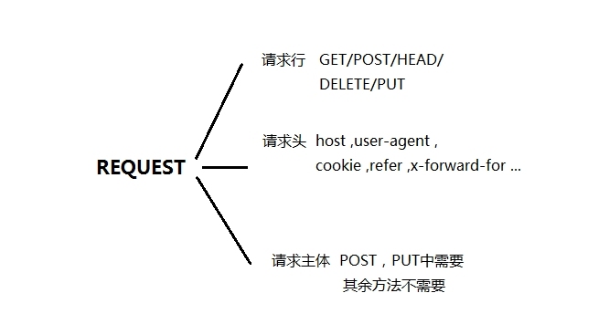 HTTP协议讲解及手工模拟HTTP请求_请求